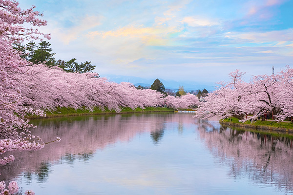 4月度日程のご案内です♪　　　　　　　　　　　　　　　　　　　　　　　　　　　　　キックボクシング名古屋　FIGHT &FITNESS アーネストホーストジムJAPAN